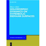 Holomorphic Dynamics on Hyperbolic Riemann Surfaces