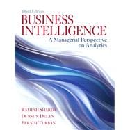 Business Intelligence A Managerial Perspective on Analytics