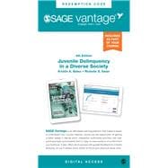 Sage Vantage: Juvenile Delinquency in a Diverse Society