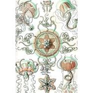 Ernst Haeckel Trachomedusae Jellyfish