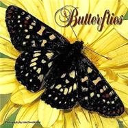 Butterflies 2004 Calendar