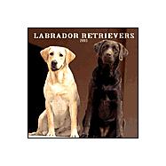 Labrador Retrievers 2003 Calendar