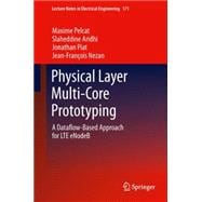 Physical Layer Multi-core Prototyping