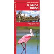 Florida Birds A Folding Pocket Guide to Familiar Species