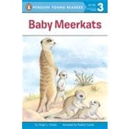 Baby Meerkats