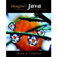 Imagine! Java Programming Concepts in Context