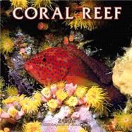 Coral Reef 2004 Calendar