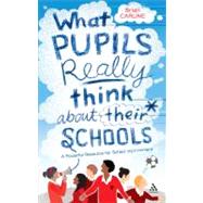 What Pupils Really Think about their Schools : A Powerful Resource for School Improvement
