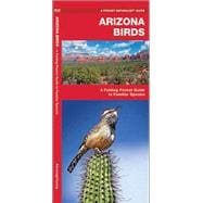 Arizona Birds A Folding Pocket Guide to Familiar Species