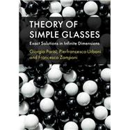 Theory of Simple Glasses