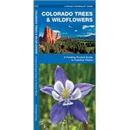 Colorado Trees & Wildflowers A Folding Pocket Guide to Familiar Plants