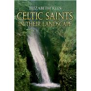 Celtic Saints In Their Landscape In Their Landscape
