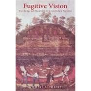 Fugitive Vision