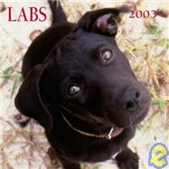 Labrador Retrievers Mini 2003 Calendar