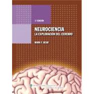 Neurociencia. La exploración del cerebro