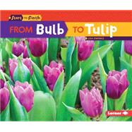 From Bulb to Tulip