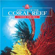 Animals of the Coral Reef