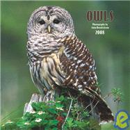 Owls 2008 Calendar
