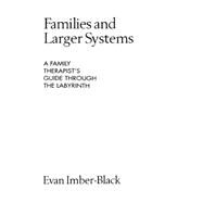 Families and Larger Systems A Family Therapist's Guide through the Labyrinth