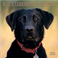 Black Labrador Retrievers 2003 Calendar