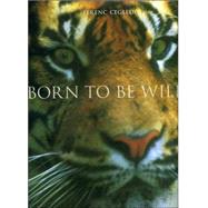 Born to Be Wild: Glance Into the Common Animals' Uncommon Life