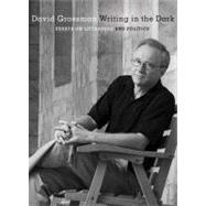 Writing in the Dark : Essays on Literature and Politics