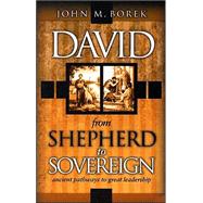 David : Ancient Pathways to Great Leadership: from Shepard to Sovereign