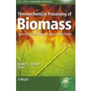 Thermochemical Processing of Biomass : Conversion into Fuels, Chemicals and Power