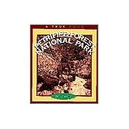 Petrified Forest National Park (A True Book: National Parks: Previous Editions)