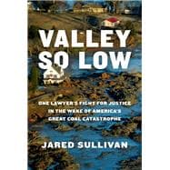 Valley So Low One Lawyer's Fight for Justice in the Wake of America's Great Coal Catastrophe