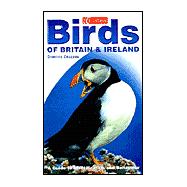 Birds of Britain & Ireland: A Guide to Identification and Behaviour