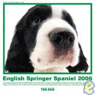 The Dog English Springer Spaniel