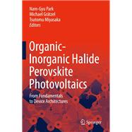 Organic-inorganic Halide Perovskite Photovoltaics