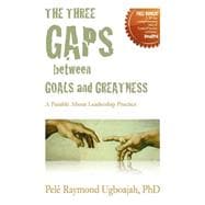 The Three Gaps Between Goals and Greatness