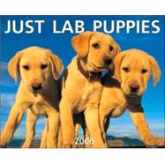 Just Lab Puppies 2006 Calendar