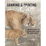 Drawing & Painting Cats Wild and domestic cats in watercolour, acrylic, ink, pastel and pencil