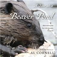 A Year at a Beaver Pond Observations from One Little Dynamic Ecosystem