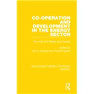 Co-operation and Development in the Energy Sector
