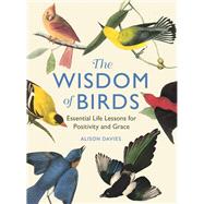 The Wisdom of Birds Essential Life Lessons for Positivity and Grace