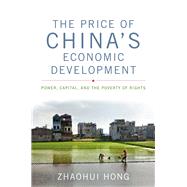 The Price of China's Economic Development