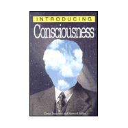 Introducing Consciousness
