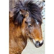 The Shetland Pony Portrait Journal