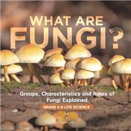 What are Fungi? Groups, Characteristics and Roles of Fungi Explained | Grade 6-8 Life Science