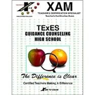 Texes Guidance Counseling High School: Teacher Certification Exam