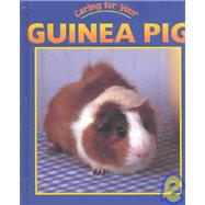 Guinea Pig
