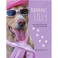 Rebarkable Lilly,9781634131162