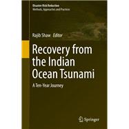 Recovery from the Indian Ocean Tsunami