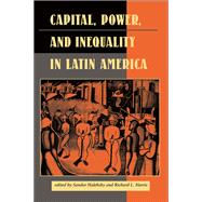 Capital, Power, and Inequality in Latin America