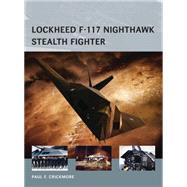 Lockheed F-117 Nighthawk Stealth Fighter