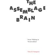 The Assemblage Brain